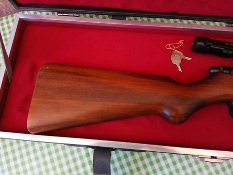 Hola a todos,

vendo esta carabina del calibre 22lr. Es una carabina semiautomática de la marca alemana 20