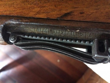 Cambio este rifle con visor punto rojo bushnell,estoy interesado en rifles de pequeño calibre,prismaticos 01