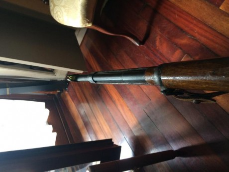 Cambio este rifle con visor punto rojo bushnell,estoy interesado en rifles de pequeño calibre,prismaticos 00