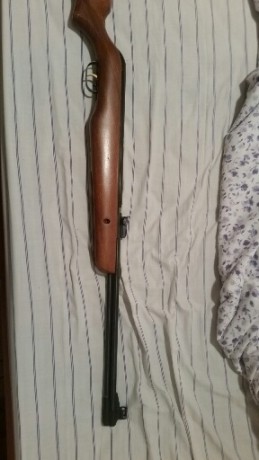 hola vendo gamo cfx royal del 5.5
en bun estado muelle ysello nuevo
miras abiertas disparador Charly 
la 01