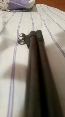 hola vendo gamo cfx royal del 5.5
en bun estado muelle ysello nuevo
miras abiertas disparador Charly 
la 00
