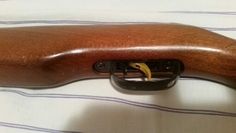 hola vendo gamo cfx royal del 5.5
en bun estado muelle ysello nuevo
miras abiertas disparador Charly 
la 12