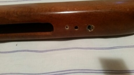 hola vendo gamo cfx royal del 5.5
en bun estado muelle ysello nuevo
miras abiertas disparador Charly 
la 10