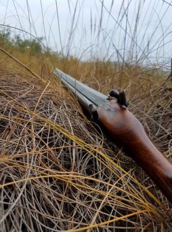  Hilo para colocar fotos, de esas armas de pólvora negra que tanto nos gustan y tenemos bien cuidadas, 110