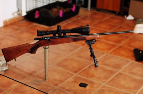 Vendo carabina de marca Rhenus, de calibre 22 WMR por solo 250€
Ideal para casa mayor, donde aceptan ese 01