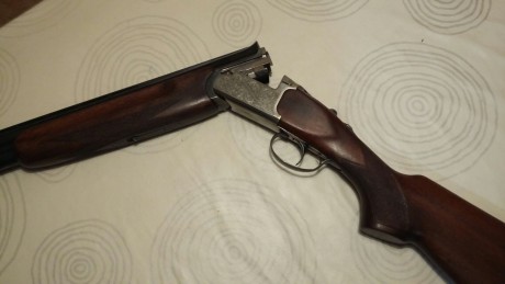Calibre 12. Monogatillo, selector de tiro y expulsora.Ha salido al campo 4 dias.
Mas informacion por wasap 22