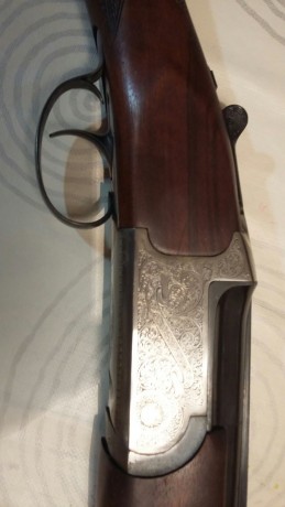 Calibre 12. Monogatillo, selector de tiro y expulsora.Ha salido al campo 4 dias.
Mas informacion por wasap 20