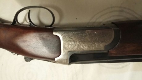 Calibre 12. Monogatillo, selector de tiro y expulsora.Ha salido al campo 4 dias.
Mas informacion por wasap 32