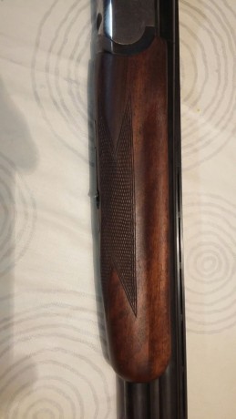 Calibre 12. Monogatillo, selector de tiro y expulsora.Ha salido al campo 4 dias.
Mas informacion por wasap 40