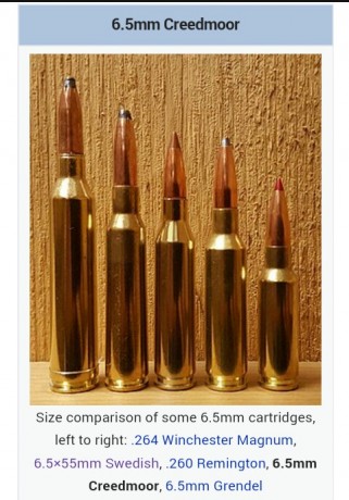 Hola, estoy barajando la posibilidad de hacerme con un 6.5 Creedmore para tiro, pero me gustaría saber 20