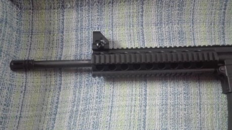 Se vende fusil Smith and Wesson mp 15 calibre 22,nuevo sin uso prácticamente habrá tirado 5 cajas.Cargador 11
