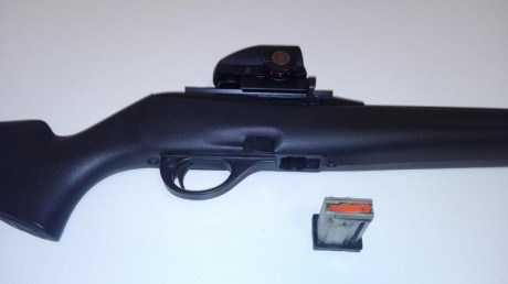 Se Vende precio 250 €

El cargador es de cinco, el visor de punto rojo es opcional es decir a negociar, 00