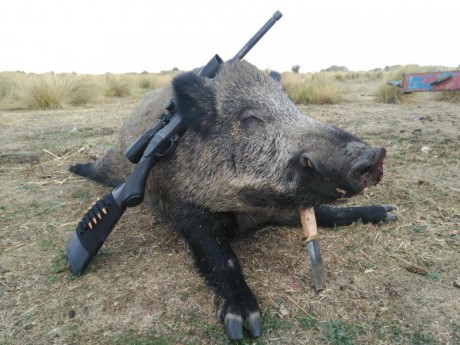 Pues eso, que nos invitaron a decir aquí lo mierda que es el 30-06...

https://www.armas.es/foros/conversacion-general/se-sabe-algo-de-jabali-viejo-1041988

Yo 41