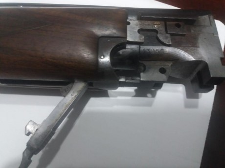 Hola a todos. 

Como os comenté en mi presentación, tengo una Browning con unos 40 -45 años encima, la 101