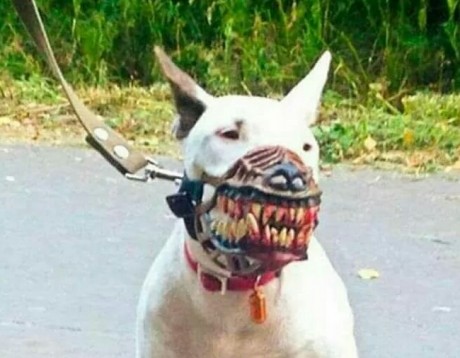 ¡Muy buenas a todos!

Estaba dando un paseo por el foro, cuando me he dado cuenta de que no había un hilo 100