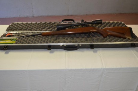Vendo rifle cz 550 del 243  con pelo fraces para recechos .Lleva un visor Barsca de 4 a 32 aumentos con 02