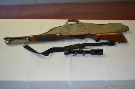 Vendo rifle semiautomatico del 30-06 en perfecto estado con monturas appel y visor bushnell  1,5 a 4,5 12