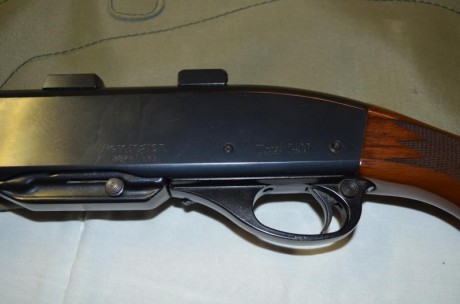 Vendo rifle semiautomatico del 30-06 en perfecto estado con monturas appel y visor bushnell  1,5 a 4,5 11