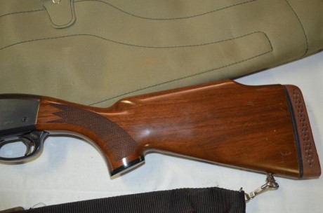 Vendo rifle semiautomatico del 30-06 en perfecto estado con monturas appel y visor bushnell  1,5 a 4,5 22