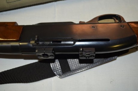 Vendo rifle semiautomatico del 30-06 en perfecto estado con monturas appel y visor bushnell  1,5 a 4,5 20