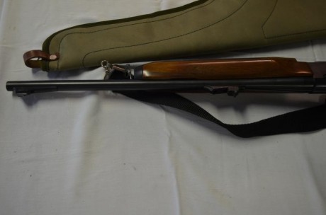 Vendo rifle semiautomatico del 30-06 en perfecto estado con monturas appel y visor bushnell  1,5 a 4,5 31