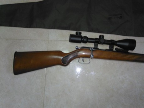 Vendo Carabina Cal 22LR. Fabricada por la celebre Manufactura de armas de Saint Etienne ( Francia ).
Canon 11