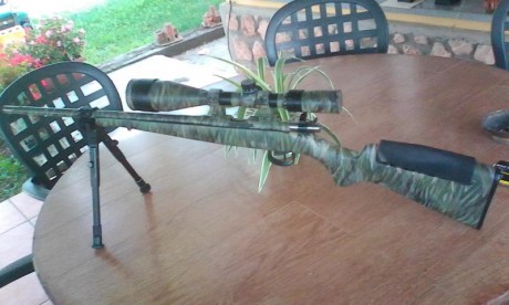 Carabina con visor tasto tarjeta 1'8 moa precio 450€ con visor sin visor 299€ 01