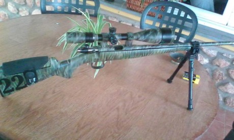 Carabina con visor tasto tarjeta 1'8 moa precio 450€ con visor sin visor 299€ 00