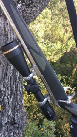 Esta recamarado en 300 WM. Cuenta con monturas Sako optiloc inox. de 30 mm.  (también dispongo de bases 30