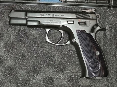 Hola amigos! ya que se muestran tantas armas buenas creo que a los propietarios de una cz 75 se nos tendría 20
