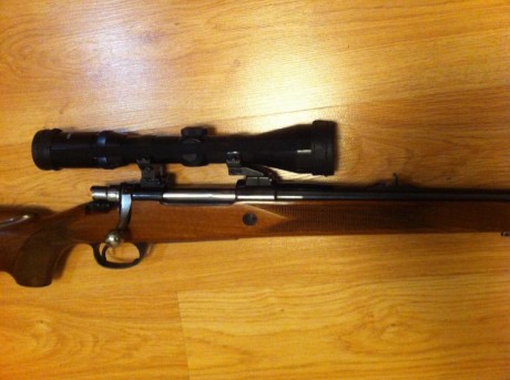 Vendo rifle santa Bárbara en muy buen estado.
Monturas apel y visor tasco euroclass 1,5x6x42
Todo el conjunto 01