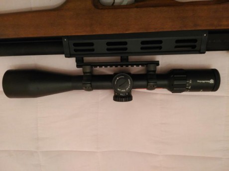 Visor Nikko Stirling 6-24x50 Long Range con retícula Hold Fast
30mm de tubo aluminio aeronáutico.
Retícula 00