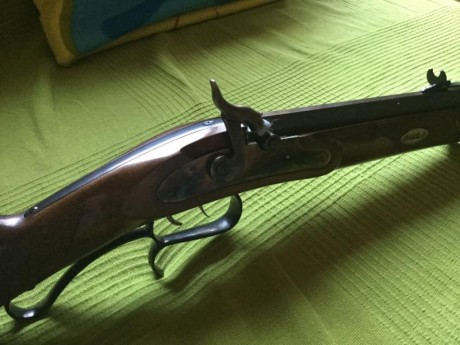 Hola, vendo mi rifle hawken challenger ,de ardesa, pasó 1/20, esta como nuevo, calibre 45, yo uso bolas 10