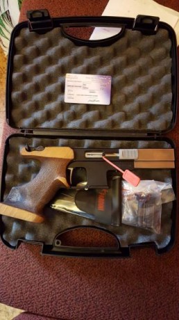 Match Gun MG2 Rapid Fire y pardini 22lr. En muy buen estado. Se pueden probar en Asturias. 750 y 450 euros. 01