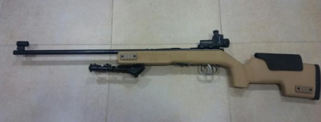en 22lr con culata artesanal de madera pintada y carrillera de kidex. Se regala monturas para visor y 00