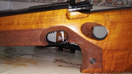 Pues eso un amigo me pude que ponga a la venta esta preciosidad de carabina Está es la Walther GX1 Cañon 01