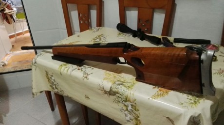 Pues eso un amigo me pude que ponga a la venta esta preciosidad de carabina Está es la Walther GX1 Cañon 22