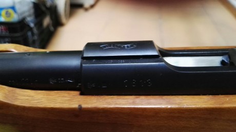 Pues eso un amigo me pude que ponga a la venta esta preciosidad de carabina Está es la Walther GX1 Cañon 21