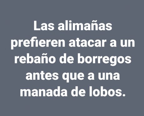Hola compañeros.
Abro este tema (creo que no hay ninguno así) ya que siempre me han "impresionado" 90