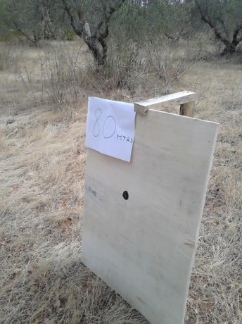 Bueno...tenía ganas.
Cuento un poco la secuencia.La prueba ha consistido (esta misma tarde) en probar 01