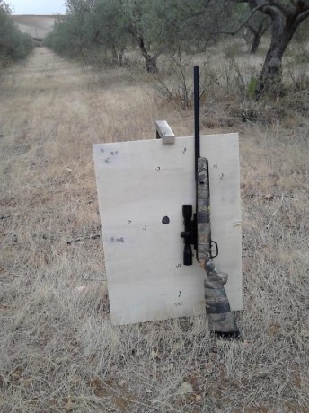 Bueno...tenía ganas.
Cuento un poco la secuencia.La prueba ha consistido (esta misma tarde) en probar 12