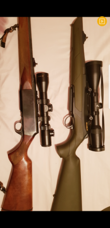 Me he pasado por la feria de caza y he estado mirando este rifle.

Es un lineal muy rápido y se pone muy 10