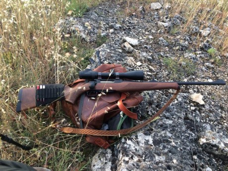 Vendo Boli Bic rojo. Regalo rifle Sauer 202 Cal. 30. 06 con juego de monturas completas ISI Mount (Visor 02