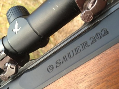 Vendo Boli Bic rojo. Regalo rifle Sauer 202 Cal. 30. 06 con juego de monturas completas ISI Mount (Visor 00