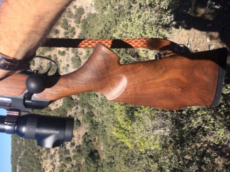 Vendo Boli Bic rojo. Regalo rifle Sauer 202 Cal. 30. 06 con juego de monturas completas ISI Mount (Visor 11