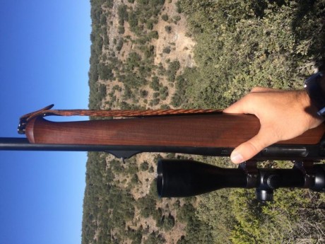 Vendo Boli Bic rojo. Regalo rifle Sauer 202 Cal. 30. 06 con juego de monturas completas ISI Mount (Visor 10