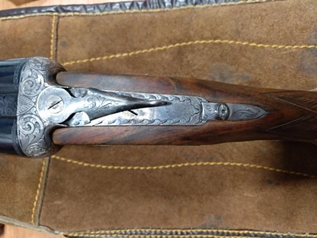 Vendo escopeta marca GARBI cañones paralelos de 70 cm
La escopeta es una maravilla, plomeo sensacional 21