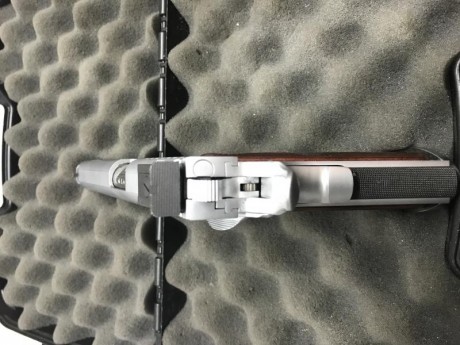 Se vende Sti Trojan del 9 mm en 6” y acero inoxidable 
Arma muy muy precisa y muy poco usada. 
Solo se 00