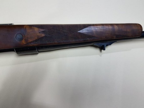 Vendo este Santa barbara 7x64 con el gatillo de pelo renager.en 600€  :sniper

Nuevo precio para animar 00