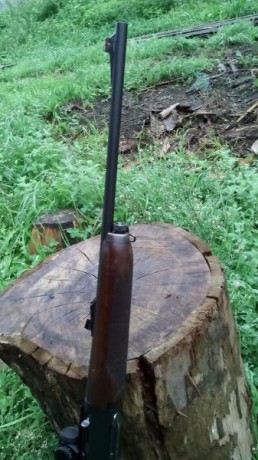 Hola.Un amigo quiere vender su rifle semiautomatico Remington 7400 en calibre 30.06 con visor punto rojo 00